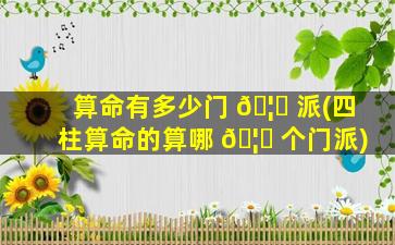 算命有多少门 🦊 派(四柱算命的算哪 🦆 个门派)